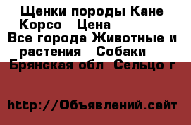 Щенки породы Кане-Корсо › Цена ­ 25 000 - Все города Животные и растения » Собаки   . Брянская обл.,Сельцо г.